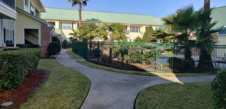 Walkway and palms