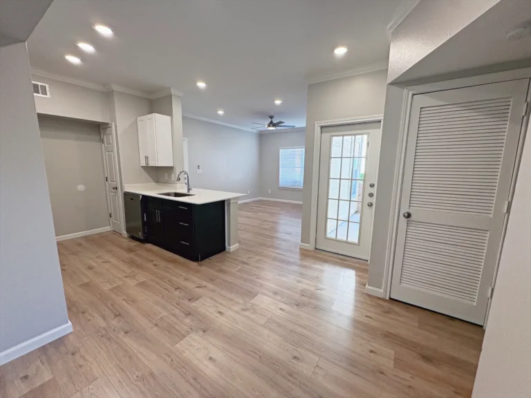 Open kitchen and living room