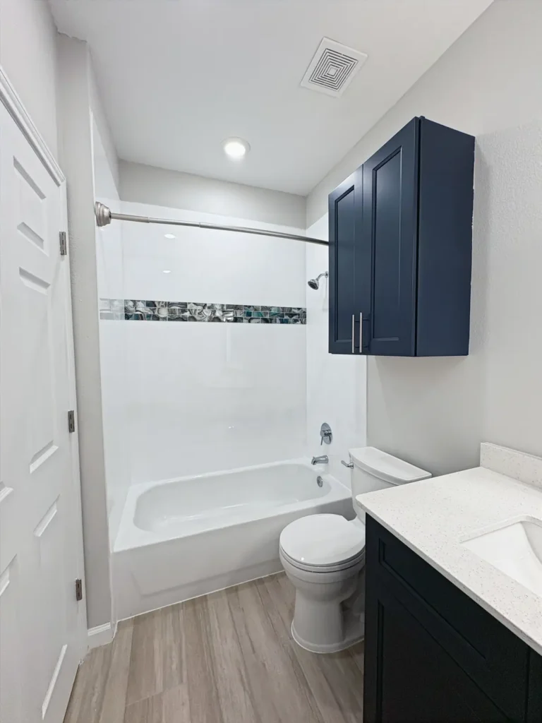 Renovated shower and tub